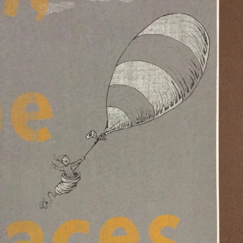 Dr Suess All the Places You’ll Go Wood Box Picture official Suess Prints EUC